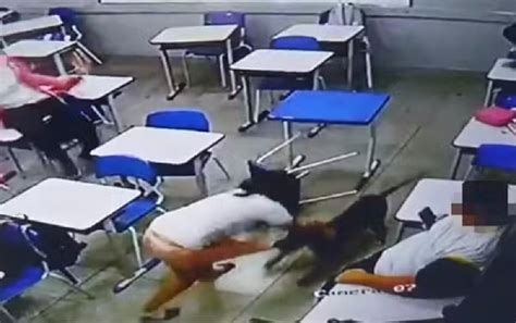 aluna cachorra|Cachorro ataca aluna de 12 anos dentro de sala de aula em GO;。